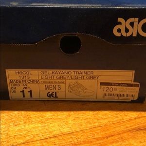 ASICS Gel Kayano Trainer